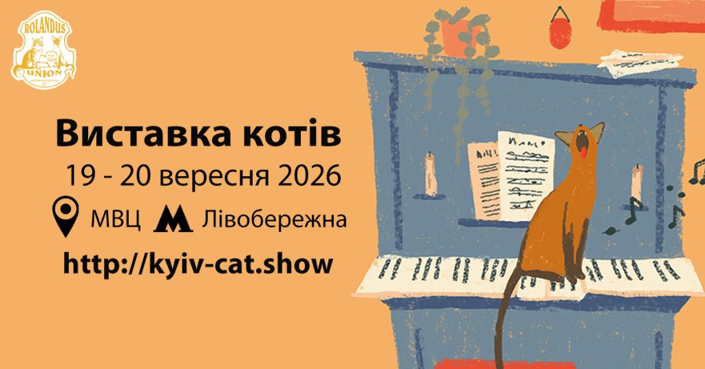 Виставка котів у Києві — Свято для всієї родини