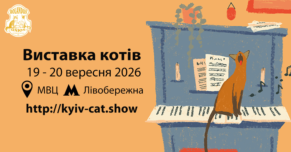 Виставка котів у Києві — Свято для всієї родини